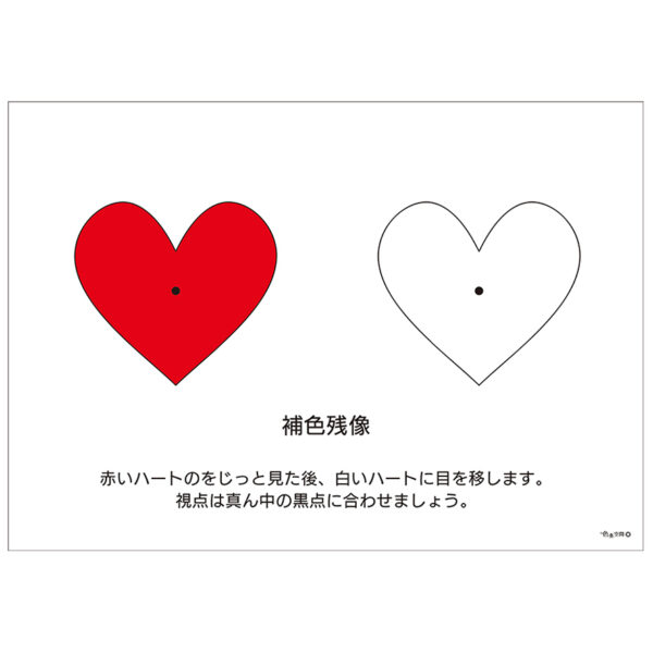 補色残像を見る図　A4サイズ　ラミネートパウチ加工