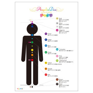 エンジェリンダイスチャクラ図 A4サイズ ラミネートパウチ加工